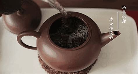 生普洱茶怎么泡 教你生普洱茶最佳冲泡方法-润元昌普洱茶网