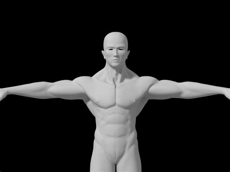 男性肌肉解剖3D模型-Anatomy male ecorche + RENDER SCENE_CGgoat