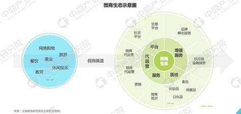 2020年中国微商行业分析报告-行业运营态势与发展规划趋势_观研报告网