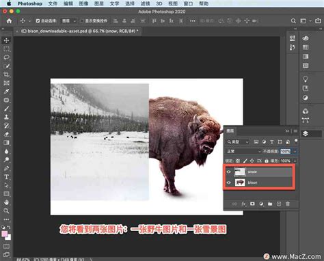 专业图片编辑与处理软件Adobe Photoshop 2021 v22.0.0.35中文版的下载、安装与注册激活教程