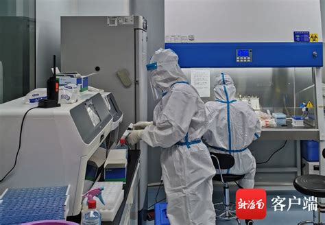 疫情下“不灭的”灯！上海六院海口医院检测人员坚守24小时不间断检测核酸-新闻中心-南海网