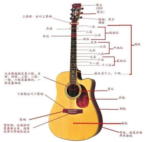 吉他的种类分哪几种-百度经验