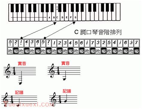 24孔C调口琴音阶排列图-复音口琴教程 - 乐器学习网