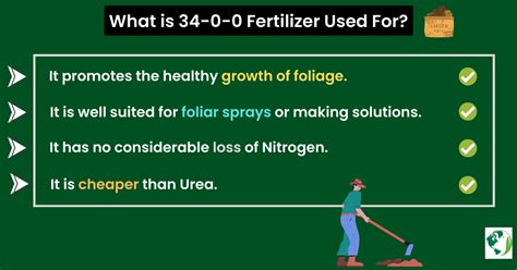 What is 34-0-0 Fertilizer Used For? | Best Guide | Ammonium Nitrate