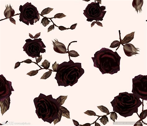 黑玫瑰设计图__图片素材_其他_设计图库_昵图网nipic.com