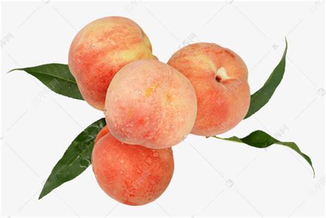 四个水果桃子素材图片免费下载-千库网