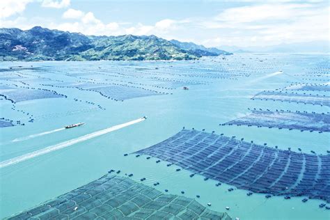 推进由“大”到“强”：湖北水产业以创新驱动转型升级-武汉市农业农村局