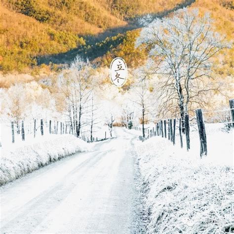 山中美丽的雪景圣诞节的冬日美景高清图片下载-正版图片507440693-摄图网