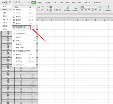 电脑excel表格怎么截长图 Excel表格截长图方法 - 52思兴自学网