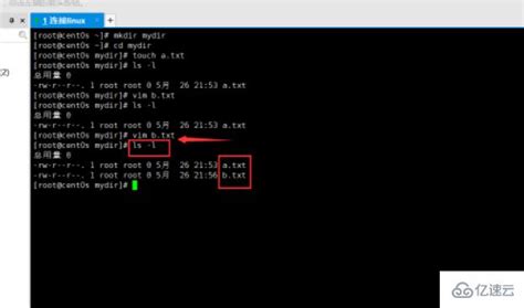 怎么创建linux虚拟机（超级详细！！！）_新建虚拟机的步骤linux深度学习-CSDN博客