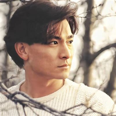 刘德华头像图片