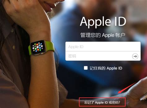 Apple ID忘记密码怎么办？平板端找回_360新知