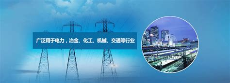 萍乡市安源区行政服务平台项目-中展数智官网