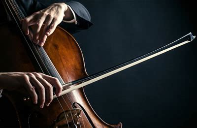 如何分辨小提琴、中提琴、大提琴和低音提琴？ - 知乎