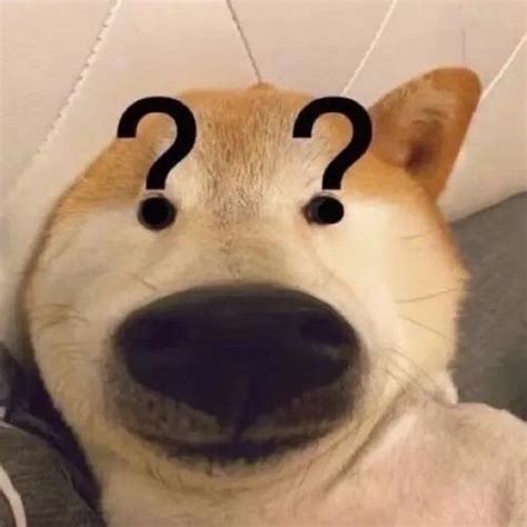 狗子非主流头像女生