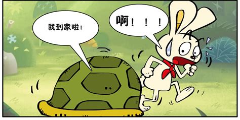 龟兔赛跑新传 |短篇/四格漫画|动漫|兔匪匪 - 原创设计作品 - 站酷 (ZCOOL)