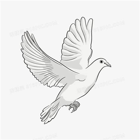 世界和平手绘和平鸽png素材图片免费下载-千库网