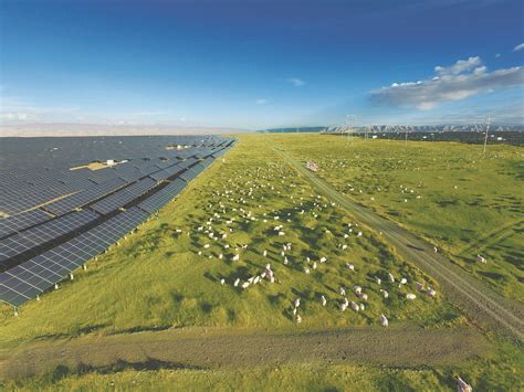 青海，突破“四项技术”升级能源发展 ——青海打造国家清洁能源产业高地系列综述之四--政务公开