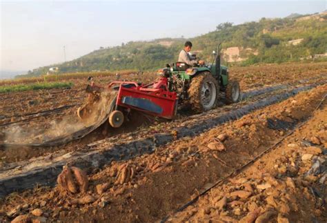 吴堡：以高质量项目建设推进农业高质量发展 - 吴堡 - 陕西网