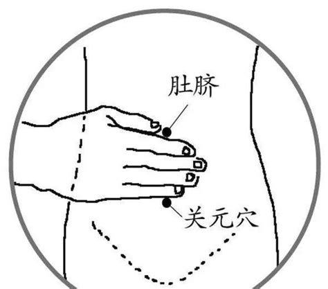 中脘的准确位置图图片 中脘的准确位置图图片