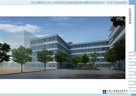 武汉市精神卫生中心六角亭院区住院楼及康复楼立面整治项目公示