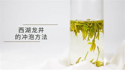 知乎普洱006：普洱茶的优质原料——云南大叶种 - 知乎