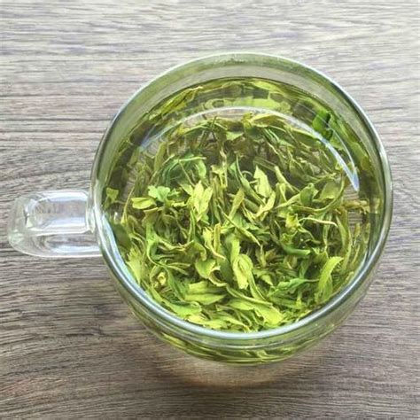 绿茶属于什么茶功效是什么（绿茶的介绍）