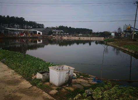 重庆市九龙坡区金凤镇鱼塘＋住房约40亩整体出售- 聚土网