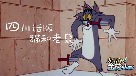 四川方言：猫和老鼠来了场史诗对决，搞笑四川话让你笑了还想笑！_动漫_高清完整版视频在线观看_腾讯视频