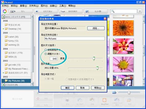 【朵拉影像照片处理软件】朵拉影像照片处理软件 2.0.1-ZOL软件下载