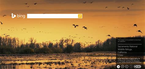 20 Reasons to Search With Bing | PCMag