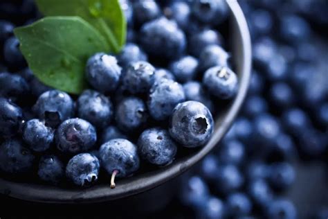 吃蓝莓的好处与功效 - 蓝莓不能和什么一起吃 - 知乎
