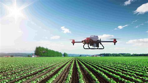 靠科技“吃饭”为现代农业插上“智慧”翅膀