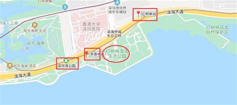 深圳湾红树林海滨生态公园地址及怎么去- 深圳本地宝