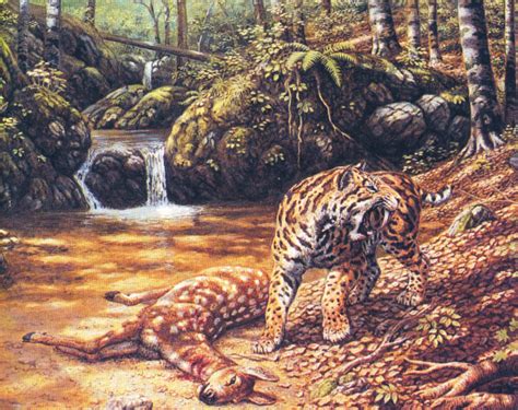 剑齿虎（史前大型猫科动物） - 搜狗百科