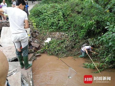 养殖塘暴雨后如何处理黄泥水带来的应激变化-中国鳗鱼网