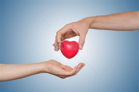 心脏移植和器官捐赠概念手高清图片下载-正版图片503153525-摄图网