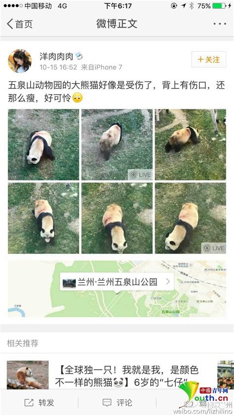 兰州动物园被指虐待大熊猫 国家林业局：正调查了解_国内社会_国内_天下_新闻中心_台海网