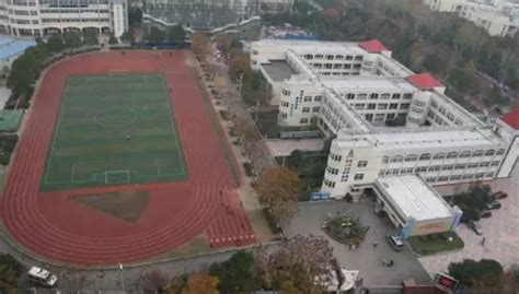 武汉汉阳区教育局通报小学生校内被撞身亡：涉事学校校长和分管副校长免职_腾讯视频