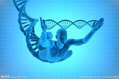DNA遗传基因设计图__科学研究_现代科技_设计图库_昵图网nipic.com