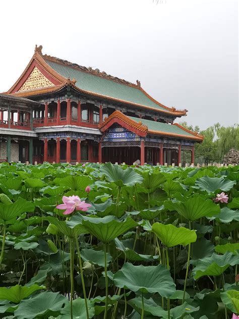 2020龙潭公园-旅游攻略-门票-地址-问答-游记点评，柳州旅游旅游景点推荐-去哪儿攻略