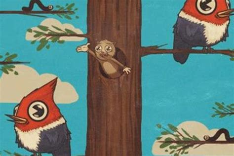 啄木鸟和大树的之间故事