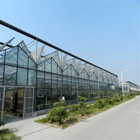JD建达-玻璃大棚 智能玻璃温室 现代化大棚-潍坊建达温室材料有限公司
