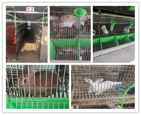 生态兔养殖基地 - 产品展示 - 四川海娜思食品有限公司