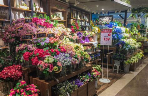 运城最好的花店在哪,运城花卉市场在哪里,运城花卉市场_大山谷图库