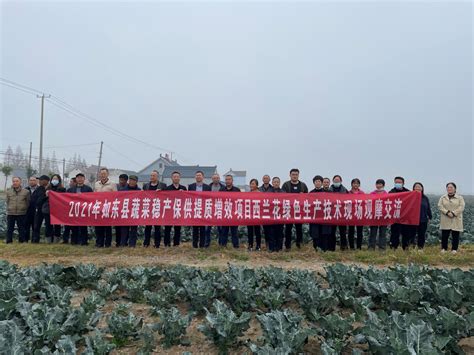 如东县召开绿色蔬菜高产竞赛表彰会议-南通市农业农村局