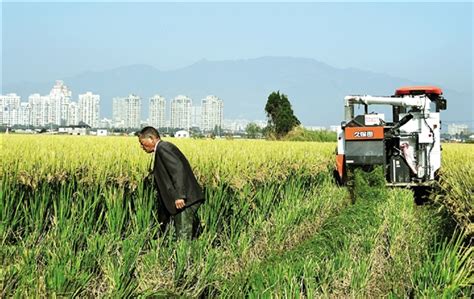 外贸业务员招聘5名_乐清市莱洋电气有限公司_乐清人才网-电才网