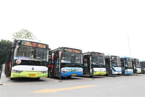 免费坐！扬州恢复观光巴士线运行！还有这些公交线路调整_我苏网