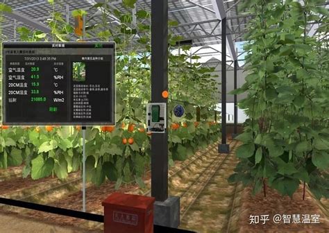 虚拟仿真物联网智能农业教学系统-西安群卓电子科技有限公司