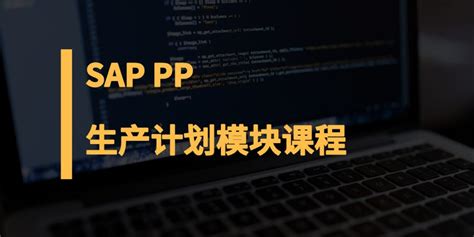 SAP PP生产制造模块课程简介